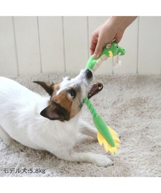 PET PARADISE ロープトイ 干支おもちゃ 辰 緑