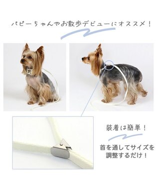 犬 首輪 リード付き 【４Ｓ~ＳＳ】 くまちゃん, 白~オフホワイト, ４Ｓ~ＳＳ