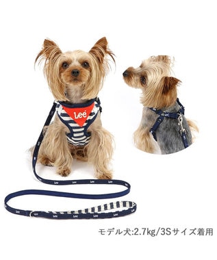 Lee ハーネス＆リード 《ボーダー》 3S 小型犬 / PET PARADISE