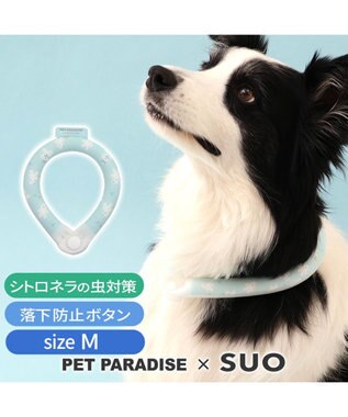 ペットパラダイス 28℃クールリング SUO 《くま柄》 〔M〕 中型