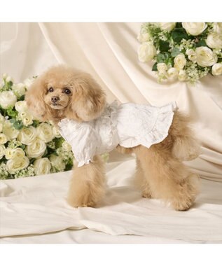 PET PARADISE cherircouture フリルリボン ワンピース 《ホワイト》 小型犬 ホワイト