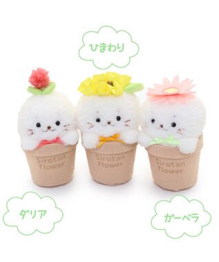 Mother garden しろたん フラワー マスコット8.5cm　《ダリア / ひまわり / ガーベラ 》 単品 ダリア