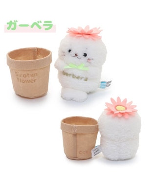 Mother garden しろたん フラワー マスコット8.5cm 《ダリア / ひまわり / ガーベラ 》 単品 ガーベラ