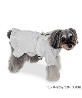 PET PARADISE cherircouture フリルリボン ワンピース 《ホワイト》 小型犬 ホワイト