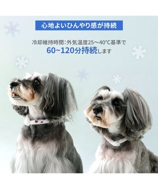 PET PARADISE ペットパラダイス 28℃クールリング  《くま》 SM 中型犬 くま柄