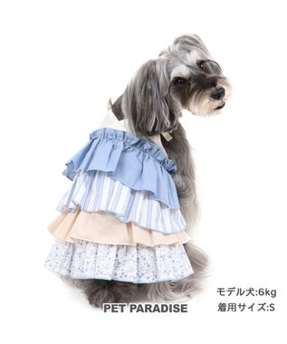 A4等級以上 ワンピース チュニック パピー 小型犬 犬 猫 ペット 服 花