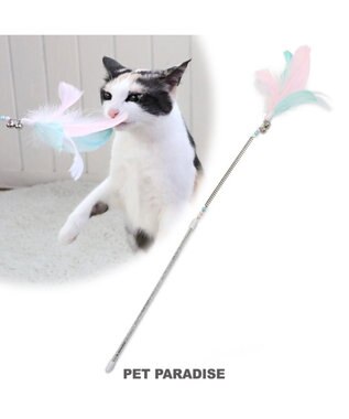 ねこじゃらし 71FIt7KcPeL._UF350,350_QL50_.jpg
