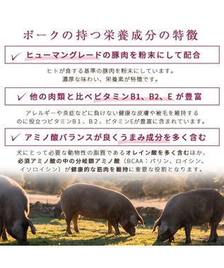 PET PARADISE ≪配合リニューアル≫  ペットパラダイス 国産 ドッグフード ビオキッチン 1kg & フローラ 1kg お試しセット