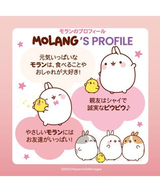 マザーガーデン MOLANG モラン フェイスタオル 《フェイス柄》, -, -