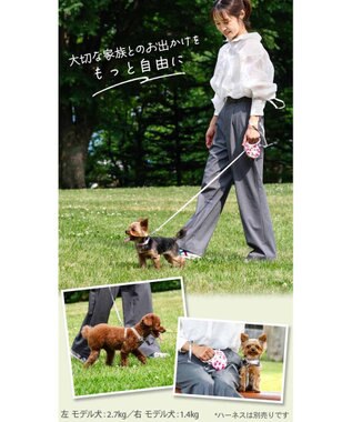 PET PARADISE ペットパラダイス 伸縮リード 《いちご柄 / ロゴ柄 》【小型犬】軽量 ロック式 いちご柄