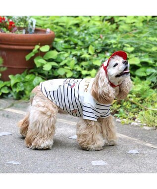 PET PARADISE スヌーピー お揃い 野球柄Ｔシャツ 【中型犬】【大型犬】《ネイビー／ホワイト》 ホワイト