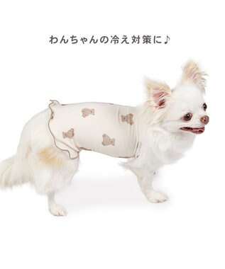 PET PARADISE ペットパラダイス くまちゃん ペティヒート 天竺 腹巻 小型犬 オフホワイト