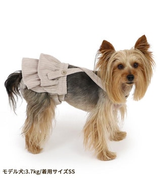 PET PARADISE ペットパラダイス フリフリ サニタリーパンツ 小型犬 ブラウン