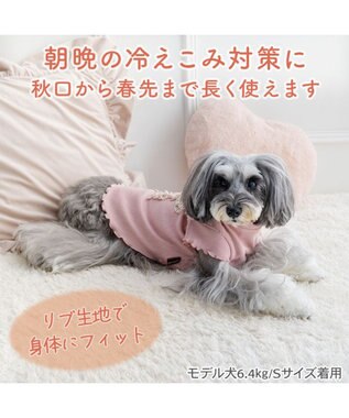 PET PARADISE ペットパラダイス リボン プレミアム ペティヒート Ｔシャツ 超小型犬 小型犬 ピンク