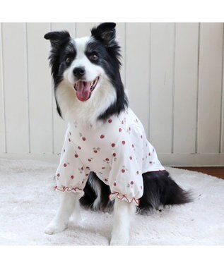 PET PARADISE ペットパラダイス ペティヒート Tシャツ 《苺柄》 中型犬 大型犬 苺柄