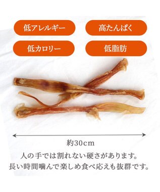 PET PARADISE 馬アキレス ジャーキー ロングジャーキー 3本入り -