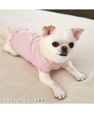 PET PARADISE ペットパラダイス リボン プレミアム ペティヒート Ｔシャツ 超小型犬 小型犬 ピンク
