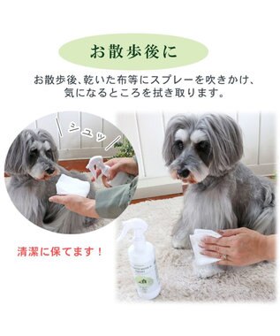 PET PARADISE ペット 消臭スプレー　エチケットウォーターｎ（ネイチャー） 300mL -