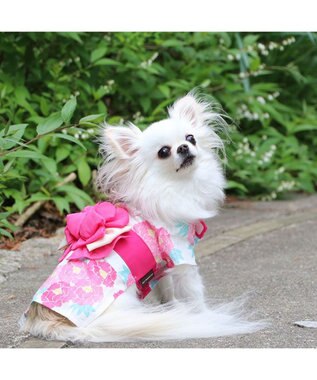 PET PARADISE 犬の服 夏 犬服 浴衣 牡丹柄 ピンク 【小型犬】 ピンク（淡）
