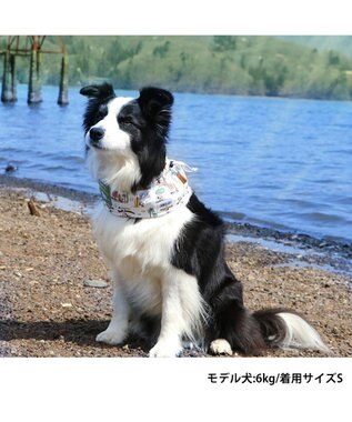 PET PARADISE スヌーピー サーフ柄 クールネック スヌード 《保冷剤付き》【中型犬】【大型犬】 カーキ