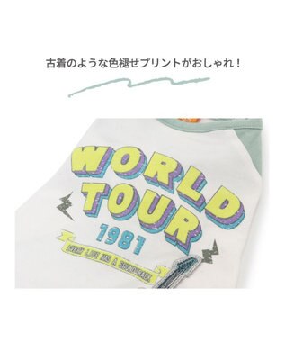 PET PARADISE ペットパラダイス Tシャツ 《バンド柄》【小型犬】 白～オフホワイト