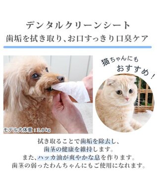 PET PARADISE 《リニューアル》デンタルクリーン シート（60枚入）  国産 -