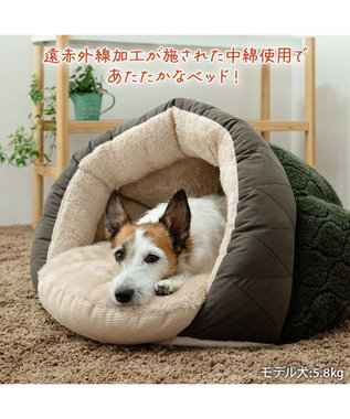 激安直営店 ドーム型 遠赤外線 ペットパラダイス 寝袋 小型 《オニオン柄》 犬服・アクセサリー
