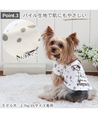 プティマイン　101匹わんちゃん　トップス petit main - 新品未開封 プティマイン 101匹わんちゃんトップス