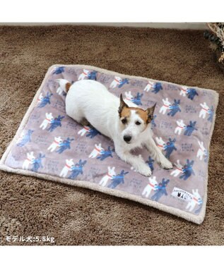 PET PARADISE リサとガスパール 遠赤外線 ボアマット 《 であい柄 》 (80×60cm) であい柄