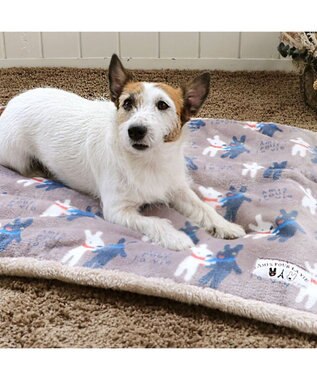 PET PARADISE リサとガスパール 遠赤外線 ボアマット 《 であい柄 》 (80×60cm) であい柄