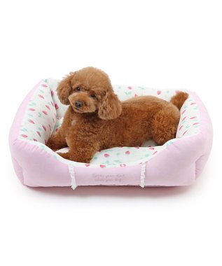 PET PARADISE ペットパラダイス クールカドラー 角型《いちご&お花柄》 小型犬 いちご&お花柄