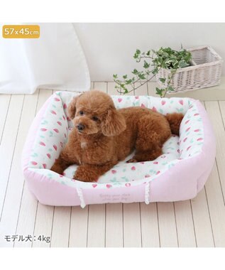 PET PARADISE ペットパラダイス クールカドラー 角型《いちご&お花柄》 小型犬 いちご&お花柄