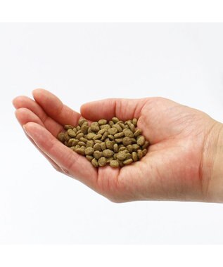 PET PARADISE ペットパラダイス 国産 ドッグフード ビオキッチン 1kg -