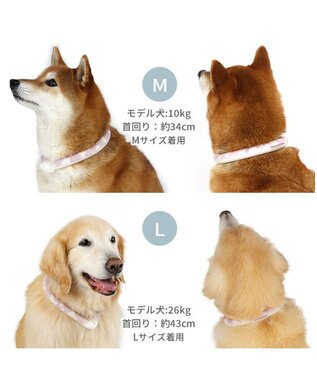 PET PARADISE ペットパラダイス 28℃クールリング  《くま》 M 大型犬 くま柄