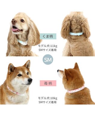 PET PARADISE ペットパラダイス 28℃クールリング SUO 《くま柄》 〔ＳＭ〕 中型犬 くまちゃん