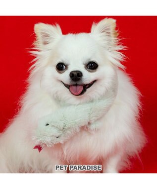 PET PARADISE ペットパラダイス 干支 巳 マフラー 《 グリーン》 小型犬 ＳＳ～ＳＭ・ＤＳ・ＤＭ