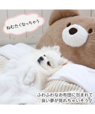 PET PARADISE くま折りたたみ ベッド (55×72cm) 茶系