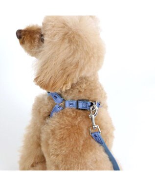 PET PARADISE 犬 ハーネス リード Lee ライトデニムハーネス&リード 【S】 水色