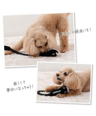 PET PARADISE  ペットパラダイス うなぎ ロープトイ《大》 -