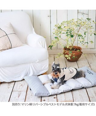 PET PARADISE ペットパラダイス ごろ寝マット 《マリン柄》 小型犬 マリン柄