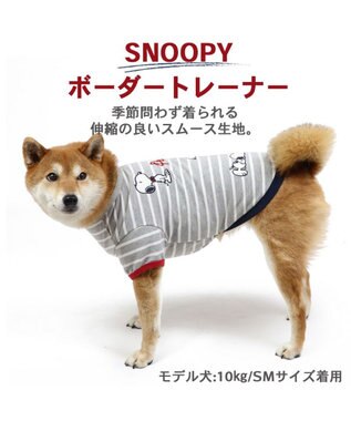 PET PARADISE 犬の服 犬 スヌーピー トレーナー 【中型犬】 ボーダー グレー