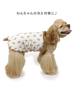 ペットパラダイス くまちゃん ペティヒート 腹巻 中型犬 / PET ペットパラダイス くまちゃん ペティヒート 腹巻 中型犬 / PET