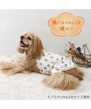 PET PARADISE ペットパラダイス くまちゃん ペティヒート  腹巻 中型犬 くまちゃん