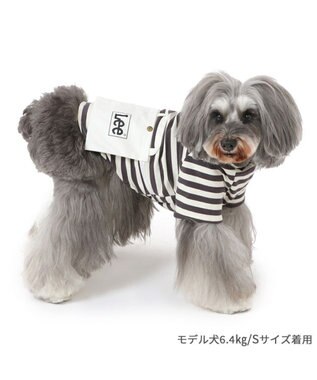PET PARADISE Lee ショルダー ボーダー Tシャツ 小型犬 ボーダー