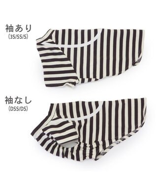 PET PARADISE Lee ショルダー ボーダー Ｔシャツ 小型犬 ボーダー