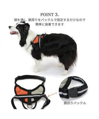 PET PARADISE ヘッドインハーネス  【Ｍ】オレンジ / ブルー 【中型犬 大型犬】 オレンジ×グレー