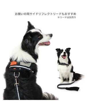 PET PARADISE ヘッドインハーネス  【Ｍ】オレンジ / ブルー 【中型犬 大型犬】 オレンジ×グレー