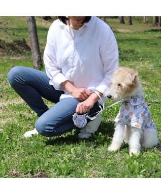 PET PARADISE ペットパラダイス 伸縮リード 《いちご柄 / ロゴ柄 》【小型犬】軽量 ロック式 ロゴ柄