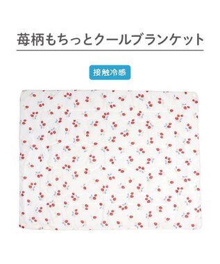 PET PARADISE ペットパラダイス もちっと クール ブランケット 《苺柄》 ホワイト×レッド