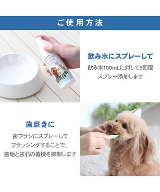 PET PARADISE オーガニック デンタルウォーター（犬・猫用） 120ｍＬ -